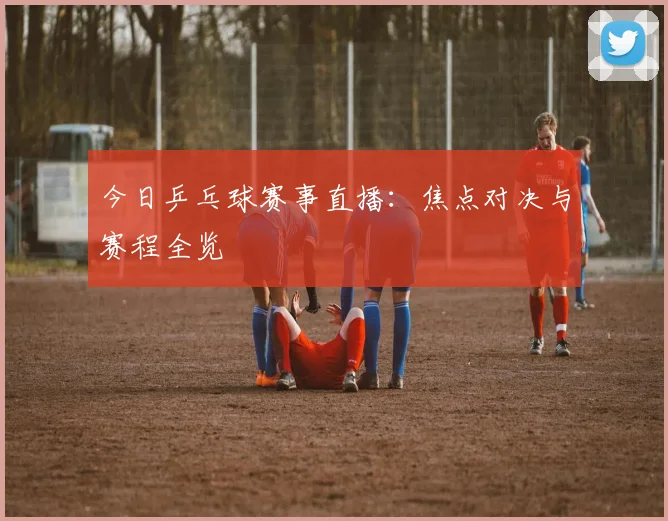今日乒乓球赛事直播：焦点对决与赛程全览
