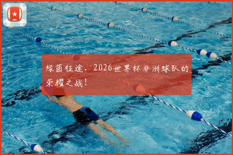 绿茵征途，2026世界杯非洲球队的荣耀之战！