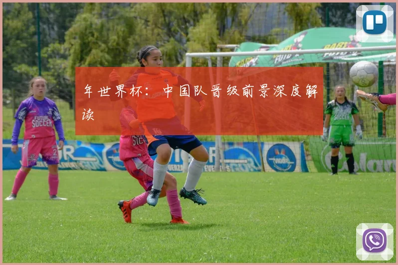 年世界杯:中国队晋级前景深度解读