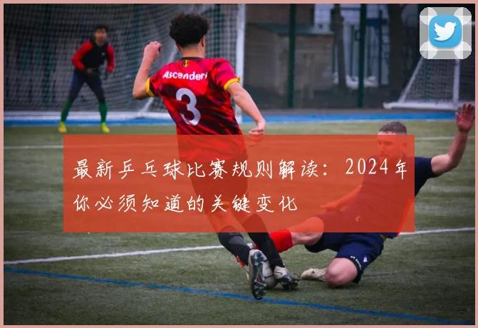 最新乒乓球比赛规则解读：2024年你必须知道的关键变化