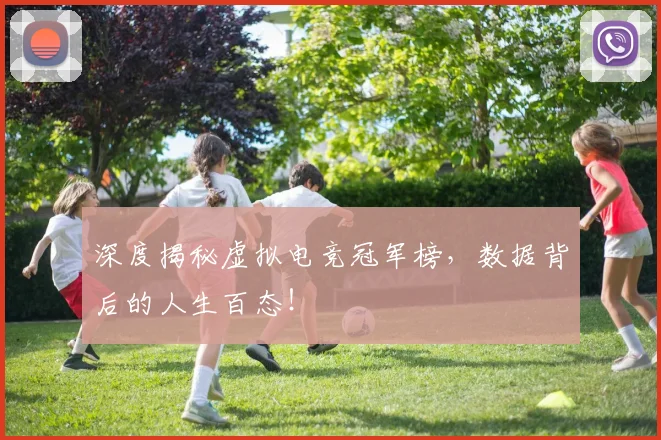 深度揭秘虚拟电竞冠军榜，数据背后的人生百态！