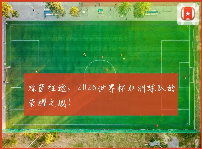 绿茵征途，2026世界杯非洲球队的荣耀之战！